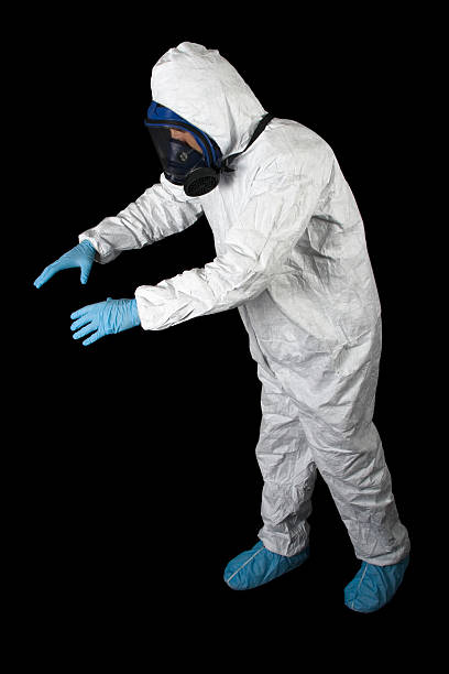 Best Crawl Space Mold Remediation  in Orient, NY